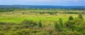 Panoramic view of the blooming valley. Summer landscape with meadow flowers, distant mountains with pine forest and blue sky. Royalty Free Stock Photo