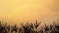 Panoramic view of blurry rainbow on beautiful summer dramatic twilight sky background with silhouette of leaves.Image use for