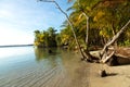 Panoramic view of Boca del toro beach Royalty Free Stock Photo