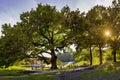 Panoramic view of the Bohdan Khmelnytsky Oak at sunset Royalty Free Stock Photo