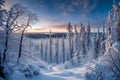 A panoramic view of the boreal forest in winter, with snow-laden branches forming an intricate lace against the twilight sky