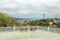 Panoramic view of Bosphorus and Bosphorus Bridge