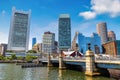 Panoramic view of Boston Royalty Free Stock Photo