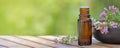 bottle of essential oil and  lavender flowers in a bowl  on a wooden table and green background Royalty Free Stock Photo