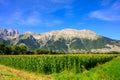 Panoramic view on Breche de Faraut mountain range in French Prealps in summer Royalty Free Stock Photo