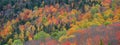 Bright color autumn trees  in Quebec countryside Royalty Free Stock Photo