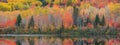 Panoramic view of bright fall foliage along river Saint Maurice Royalty Free Stock Photo