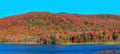 Panoramic view of bright fall foliage Royalty Free Stock Photo