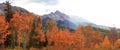 Bright fall foliage in San Juan mountains of Colorado Royalty Free Stock Photo