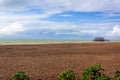 Panoramic view of Brighton`s beach. In the background they are the remains of Brighton West Pier in sea Royalty Free Stock Photo