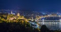 Panoramic view of Budapest and Budapest Castle at night, Hungary Royalty Free Stock Photo