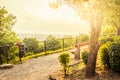 Panoramic view of Budapest with a full trashcan and lots of garbage