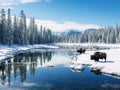 Ai Generated illustration Wildlife Concept of Panoramic view of buffalos in winter in Yellowstone Park Royalty Free Stock Photo