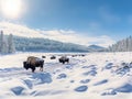 Ai Generated illustration Wildlife Concept of Panoramic view of buffalos in winter in Yellowstone Park Royalty Free Stock Photo