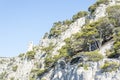 Panoramic view of the Calanque of Cassis Royalty Free Stock Photo