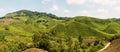 Panoramic view of Cameron Highlands, famous tea plantation in Malaysia Asia Royalty Free Stock Photo