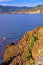 Panoramic view of Camogli and Punta Chiappa Royalty Free Stock Photo