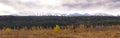 Panoramic view of the Canadian Rocky Moutains taken from the tow