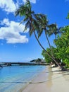 Panoramic view of Caribbean coast in the French West Indies. Tropical beach in Caribbean fishing village. Creole culture and Royalty Free Stock Photo