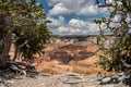 Panoramic view of Cedar Breaks National Monument from the Spectra Point Overlook Royalty Free Stock Photo