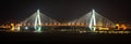 Panoramic view of the century bridge symbol of Haikou city illuminated at night in Haikou Hainan China