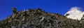 Panoramic view of Chinstrap penguins (Pygoscelis antarctica) among rock formations on Half Moon Island, Bransfield Strait Royalty Free Stock Photo