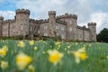 Panoramic view of Cholmondeley Castle and field of the daffodils Royalty Free Stock Photo