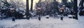 Panoramic view of Christmas wreath on lampposts in Central Park, Manhattan, New York City following winter snowstorm Royalty Free Stock Photo