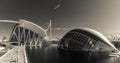 Panoramic view of City of Arts and Sciences, Valencia, Spain.