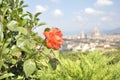 Panoramic view of the city of Florence Royalty Free Stock Photo