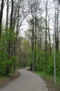 Panoramic view of the city park. Royalty Free Stock Photo