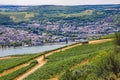 Panoramic view of the city by the river and vineyards. Tourism theme in Germany. Work of a tractor in a vineyard overlooking the