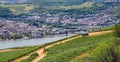 Panoramic view of the city by the river and vineyards. Tourism theme in Germany. Work of a tractor in a vineyard overlooking the