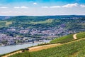 Panoramic view of the city by the river and vineyards. Tourism theme in Germany. Work of a tractor in a vineyard overlooking the Royalty Free Stock Photo