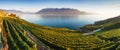 Panoramic view of the city of Vevey at Lake Geneva with vineyards of famous Lavaux wine region on a beautiful sunny day with blue Royalty Free Stock Photo