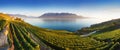 Panoramic view of the city of Vevey at Lake Geneva with vineyards of famous Lavaux wine region on a beautiful sunny day with blue Royalty Free Stock Photo