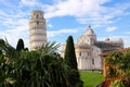 Panoramic view from city wall to leaning tower of Pisa, symbol of Italy, and cathedral with green cypress and palm tree, Tuscany Royalty Free Stock Photo