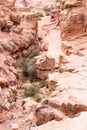 Mountain path to the Monastery, ancient city of Petra, Jordan