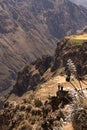 Panoramic view of Colca Canyon, in Peru Royalty Free Stock Photo