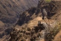 Panoramic view of Colca Canyon, in Peru Royalty Free Stock Photo