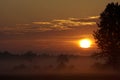 Panoramic view of colorful sunrise over wetlands and meadows Royalty Free Stock Photo