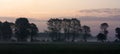 Panoramic view of colorful sunrise over wetlands and meadows Royalty Free Stock Photo