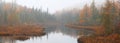 Panoramic view of colorful trees with misty landscape during autumn time