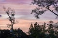 Panoramic view of the colors of the afterglow