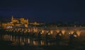 Panoramic view Cordoba Spain bridge