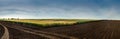 panorama from the corner of arable land and plots of ripe wheat Royalty Free Stock Photo