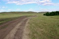 Panoramic view. Country road. Forests and fields. Green grass. Blue sky. Summer.