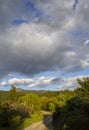 Panoramic view of the country road, gardens and the sky with clouds on the island of Evia in Greece on a sunny spring day Royalty Free Stock Photo