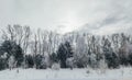 Panoramic view of the covered with frost trees in the snowdrifts. Magical winter forest. Natural landscape with beautiful sky Royalty Free Stock Photo