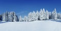 A panoramic view of the covered with frost trees in the snowdrifts. Magical winter forest. Natural landscape with beautiful sky.